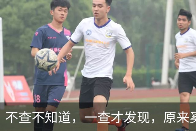不查不知道，一查才发现，原来奚美娟跟宋佳两个人的关系真不简单