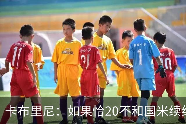 卡布里尼：如果恰20不和国米续约，是尤文必须认真考虑的机会