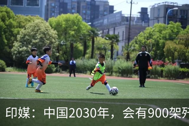 印媒：中国2030年，会有900架歼-16、1000架歼-20，但中国战斗机有一致命不足