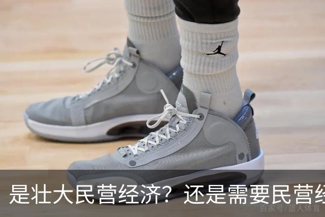 是壮大民营经济？还是需要民营经济？