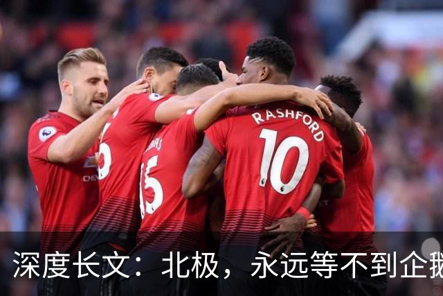 深度长文：北极，永远等不到企鹅！1949年人类最后一次在北极地区看见企鹅！