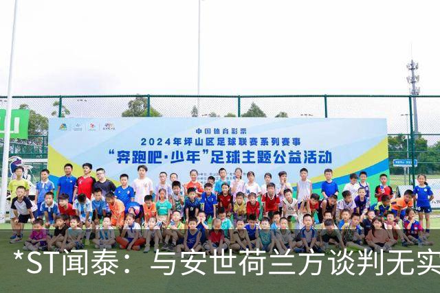 *ST闻泰：与安世荷兰方谈判无实质进展 股票存在终止上市风险