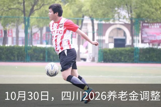 10月30日，四川2026养老金调整通知，官网现在是什么状态？